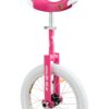 Qu-ax roze eenwieler 20-inch