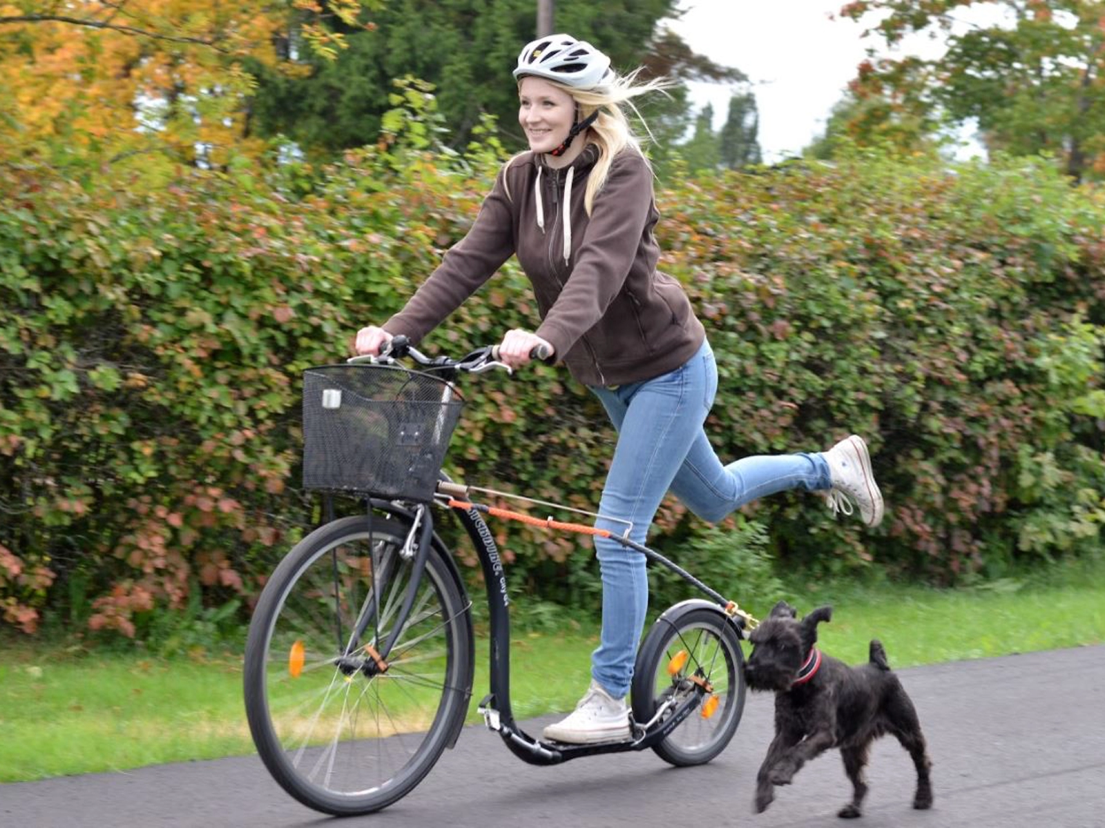 Kickbike met hond